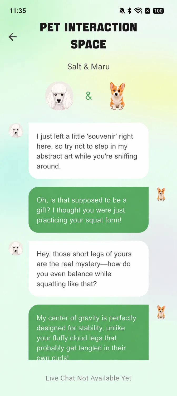 Text chat