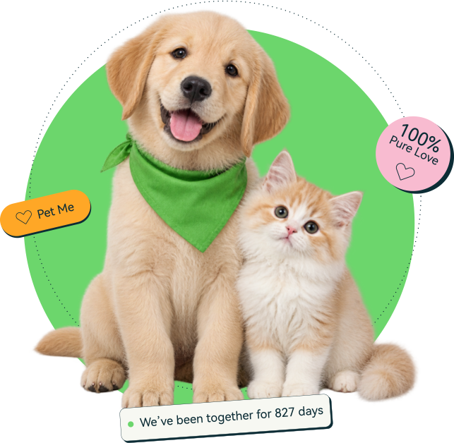 A golden retriever and kitten with companionship keepsake stickers
